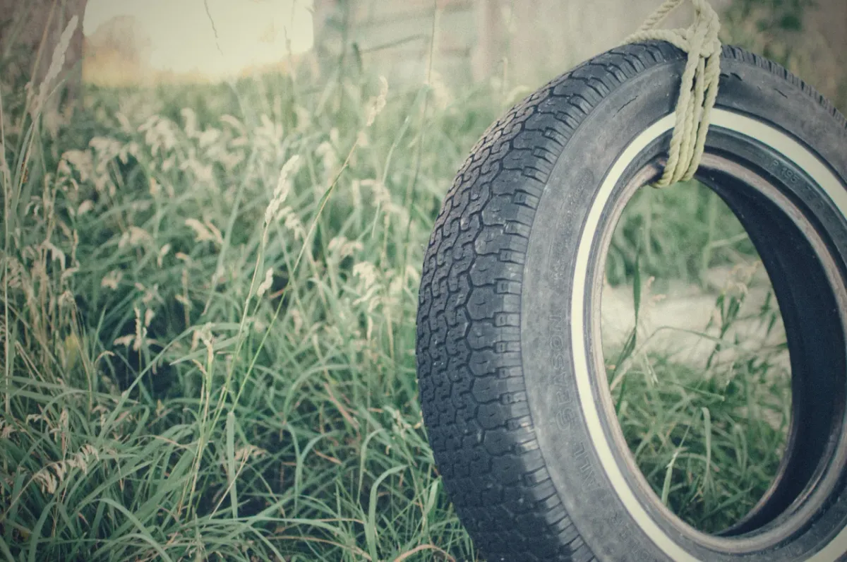 Tire swing hanging over summer grass.