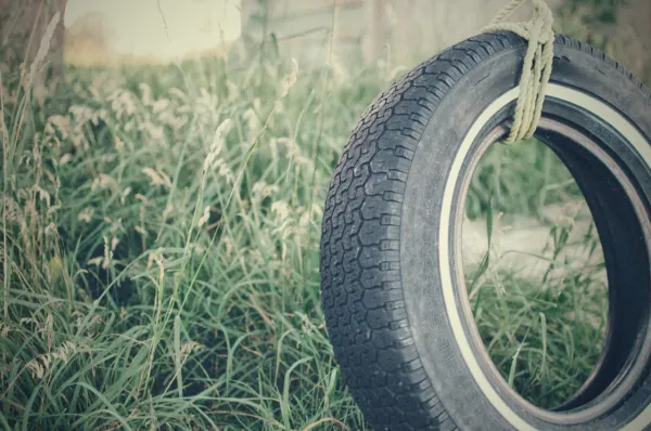 Tire swing hanging over summer grass.