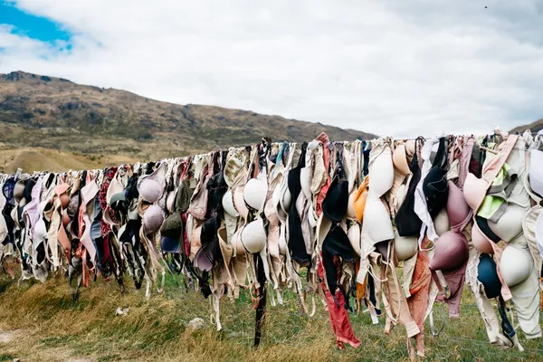 A line with hundreds of bras of all colors hanging from it